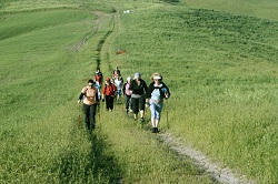 Nordic-WalkingToscana2011_2.jpg